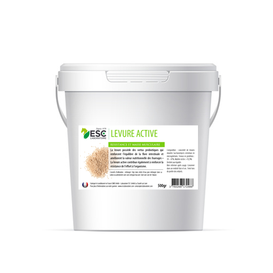ESC - Levure active + 500gr