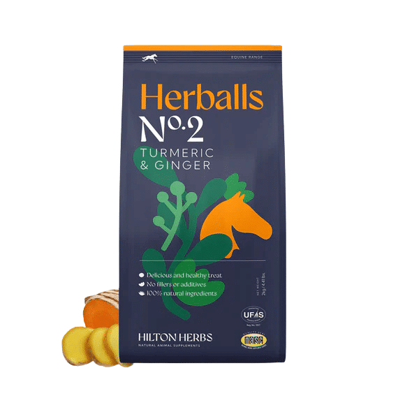 Hilton Herbs - Herballs curcuma et gingembre 2kg